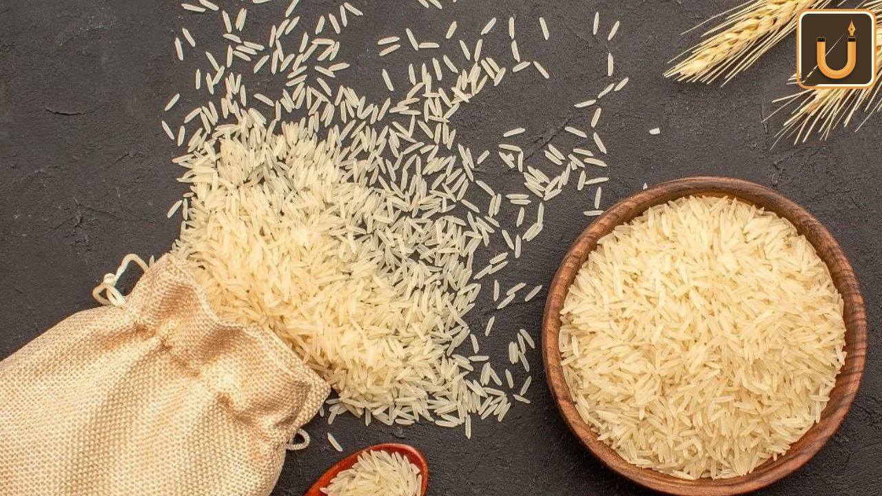 Usthadian Academy / India Set To Extend Rice Export Bans Through 2024, Impacting Global Prices